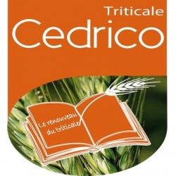 Triticale CEDRICO AB non traité
