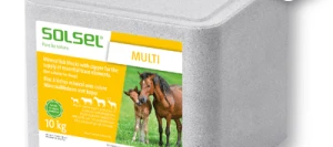 Pierre de sel MULTI - Aliment minéral SOLSEL