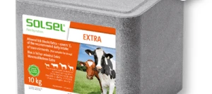 Pierre de sel EXTRA - Aliment minéral SOLSEL