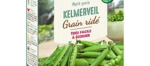 Petit pois KELMERVEIL - VILMORIN