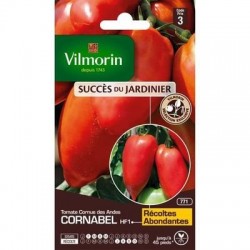 Tomate Cornue des Andes CORNABEL HF1 - VILMORIN