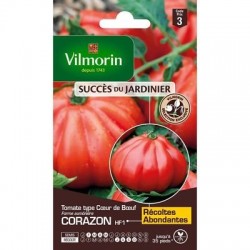 Tomate Côtelée CORAZON HF1 - VILMORIN