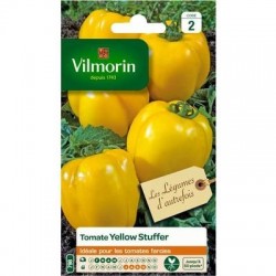 Tomate YELLOW STUFFER - VILMORIN