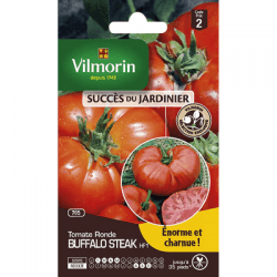Tomate Ronde BUFFALO STEAK HF1 - VILMORIN