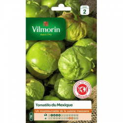 Tomatillo du Mexique - VILMORIN