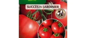 Tomate ronde DONA HF1 - VILMORIN