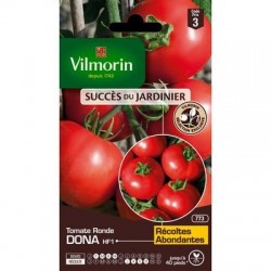 Tomate ronde DONA HF1 - VILMORIN