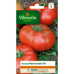 Tomate MARMANDE V.R - VILMORIN
