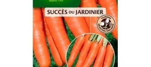 Carotte BOLERO HF1 - VILMORIN