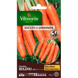 Carotte BOLERO HF1 - VILMORIN