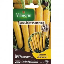 Carotte GOLDNUGGET HF1 - VILMORIN