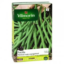 Haricot nain mangetout FACILA - VILMORIN