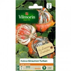 Potiron GIRAUMON TURBAN - VILMORIN