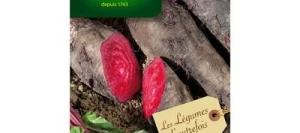 Betterave CRAPAUDINE - VILMORIN