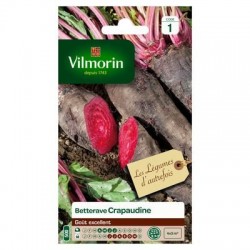 Betterave CRAPAUDINE - VILMORIN