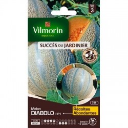 Melon DIABOLO HF1 - VILMORIN