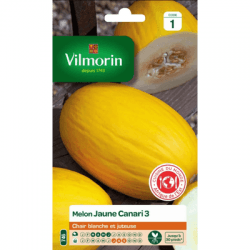 Melon Jaune Canari 3 - VILMORIN