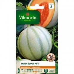 Melon SAVOR HF1 - VILMORIN