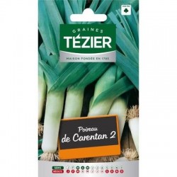 Poireau De CARENTAN 2 - TÉZIER