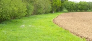 Couverts SOLVERT® N° 2 non traité