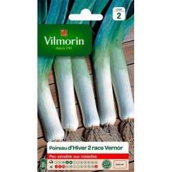 Poireau d'hiver 2 Race VERNOR - VILMORIN