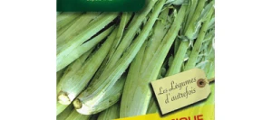 Cardon PLEIN BLANC INERME - VILMORIN