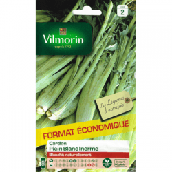 Cardon PLEIN BLANC INERME - VILMORIN