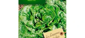 Laitue CRAQUERELLE DU MIDI - VILMORIN