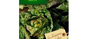 Laitue ROUGETTE DE MONTPELLIER - VILMORIN