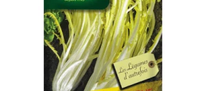 Chicorée à feuilles BARBE DE CAPUCIN Amère - VILMORIN