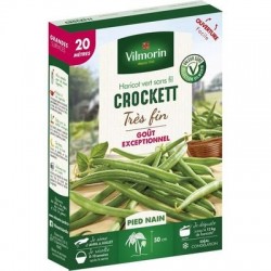 Haricot vert sans fil CROCKETT - VILMORIN