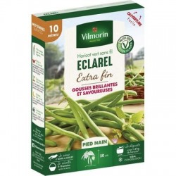 Haricot vert sans fil ECLAREL - VILMORIN