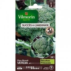 Chou Brocoli VERDIA HF1 - VILMORIN