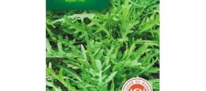 Chou Japonais MIZUNA Vert - VILMORIN