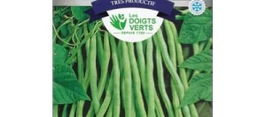 Haricot vert sans fil FORTEX - LES DOIGTS VERTS