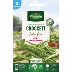 Conditionnement Haricot vert sans fil CROCKETT - VILMORIN