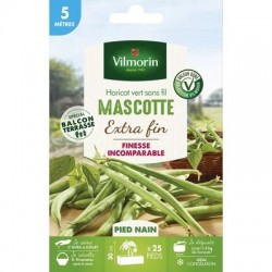 Haricot vert sans fil MASCOTTE - VILMORIN