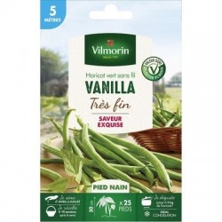 Haricot vert sans fil VANILLA - VILMORIN