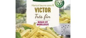 Haricot beurre sans fil VICTOR - VILMORIN