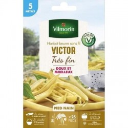 Haricot beurre sans fil VICTOR - VILMORIN