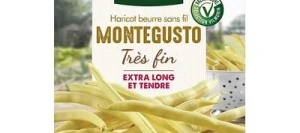 Haricot beurre sans fil MONTEGUSTO - VILMORIN