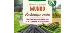 Haricot nain à écosser MUNGO - VILMORIN
