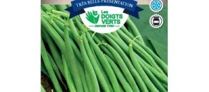Haricot nain sans fil ARGUS - LES DOIGTS VERTS