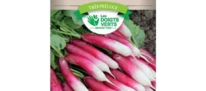 Radis de 18 jours - LES DOIGTS VERTS