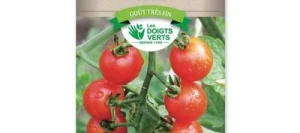 Tomate CERISE - LES DOIGTS VERTS