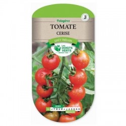 Tomate CERISE - LES DOIGTS VERTS