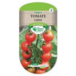 Tomate CERISE - LES DOIGTS VERTS