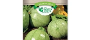 Courgette RONDE DE NICE - LES DOIGTS VERTS