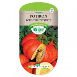 Potiron ROUGE VIF D'ETAMPES - LES DOIGTS VERTS