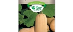 Courge Musquée WALTHAM BUTTERNUT - LES DOIGTS VERTS